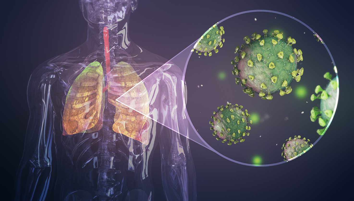 Read more about the article How Does Salt Therapy Support the Immune System?