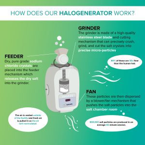 SS Halogenerator Graphic